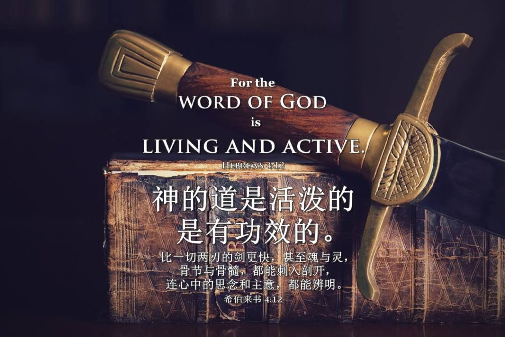 比两刃的剑更锋利 安德烈