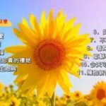 心欢喜灵快乐 诗歌精选 盛晓玫陪伴系列（2025-6-2更新）